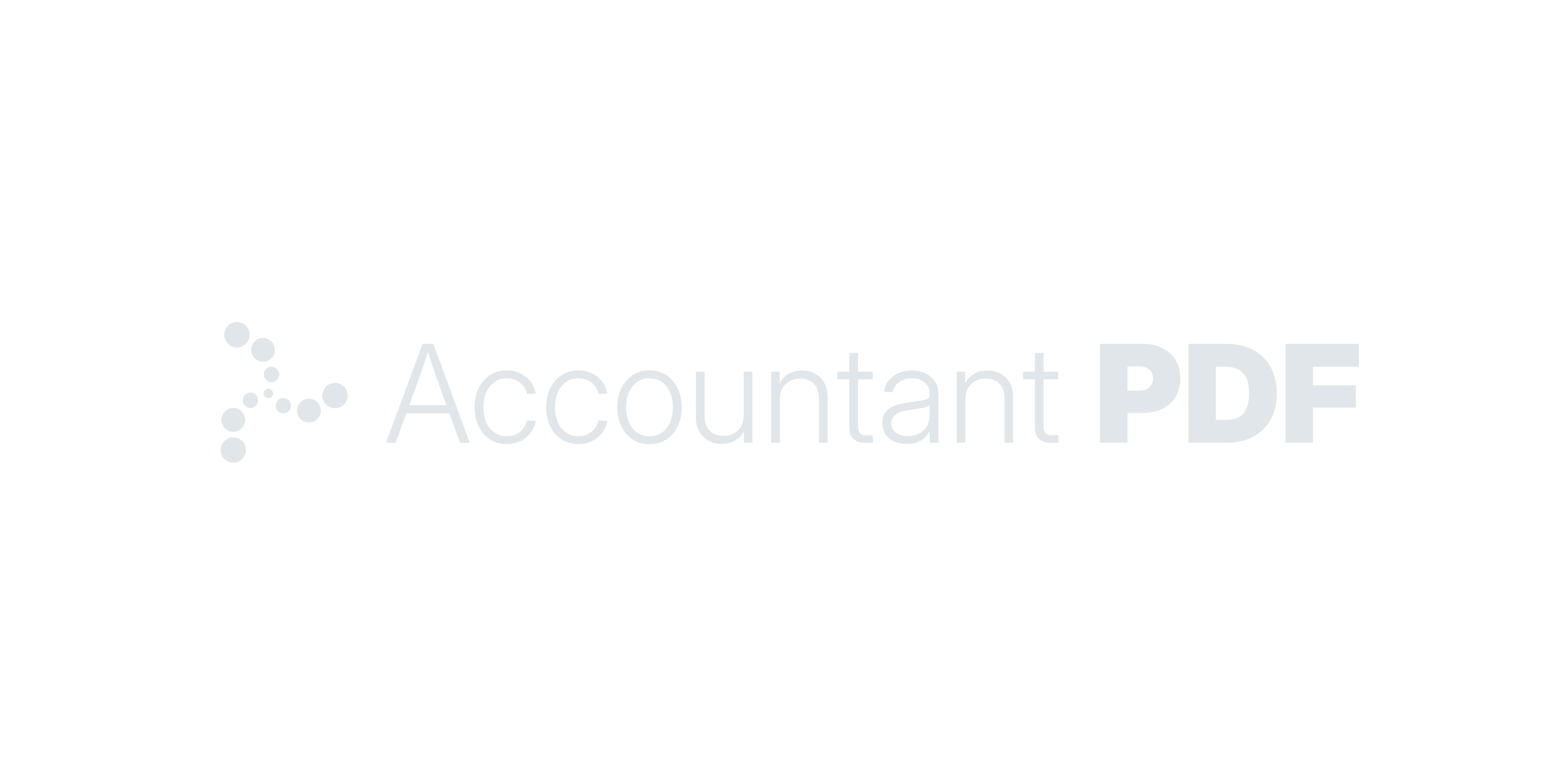 AccountantPDF